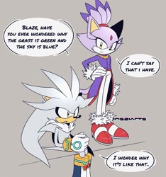 Size: 1563x1673 | Tagged: safe, artist:risziarts, blaze the cat, silver the hedgehog