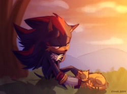 Size: 2036x1514 | Tagged: safe, artist:cha0s_error, shadow the hedgehog, cat, clouds, cute, duo, grass, lidded eyes, literal animal, looking at them, outdoors, shadowbetes, signature, sitting, smile, tree