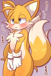 Size: 800x1200 | Tagged: safe, artist:urumin3939, miles "tails" prower, ..., 2025, blushing, chest fluff, cute, frown, gradient background, head fluff, heart, japanese text, leg fluff, lidded eyes, looking offscreen, solo, standing, tailabetes