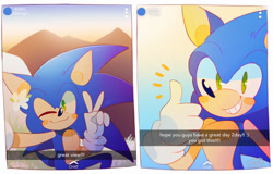 Size: 1280x821 | Tagged: safe, artist:scuttletown, sonic the hedgehog, 2019, abstract background, blushing, border, caption, clenched teeth, english text, flower, flower in ear, headcanon, holding something, looking at viewer, male, selfie, sitting, smile, snapchat, solo, standing, v sign, wink