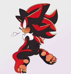 Size: 2967x3121 | Tagged: safe, artist:dirtyteethkoi, artist:dirtyteeths, shadow the hedgehog, 2020, barefoot, blushing, chest fluff, claws, frown, grey background, kneeling, looking offscreen, neck fluff, pawpads, paws, simple background, solo