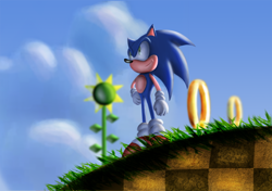 Size: 1200x844 | Tagged: safe, artist:default-deviant, sonic the hedgehog, green hill zone, 2010, abstract background, clouds, grass, hand on hip, lineless, looking offscreen, outdoors, ring, smile, solo, sunflower