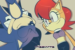 Size: 1587x1065 | Tagged: safe, artist:risziarts, sally acorn, sonic the hedgehog, sally x sonic