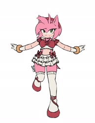 Size: 1584x2048 | Tagged: safe, artist:littlelilotl, amy rose