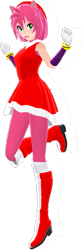Size: 213x639 | Tagged: safe, artist:nerey006, amy rose, human, humanized, mmd