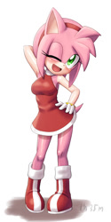 Size: 500x1000 | Tagged: safe, artist:els_p_21, amy rose
