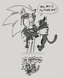 Size: 562x688 | Tagged: safe, artist:scourgefrontier, scourge the hedgehog, hedgehog, comic, dialogue, duo, english text
