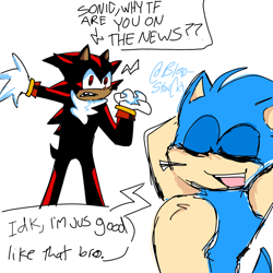 Size: 1000x1000 | Tagged: safe, artist:blep-starcat, shadow the hedgehog, sonic the hedgehog, hedgehog, 2025, dialogue, duo, english text, flat colors, male, signature, simple background, sketch, smile, standing, white background