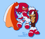 Size: 1656x1426 | Tagged: safe, artist:sonicpridecorner, knuckles the echidna, mighty the armadillo, blue background, carrying them, duo, flag, holding each other, knuxighty, lesbian, looking at each other, pride, pride flag, shipping, signature, simple background, smile, standing, transfem pride, transfeminine, transgender, transmasc pride, transmasculine
