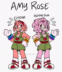 Size: 1668x1928 | Tagged: safe, artist:graves-yard, amy rose, echidna, hedgehog, clenched teeth, duality, hand on hip, looking at viewer, simple background, smile, solo, species swap, standing, waving, white background