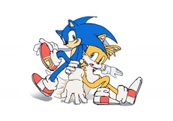 Size: 1440x1006 | Tagged: safe, artist:oo0o00ooo0o, miles "tails" prower, sonic the hedgehog, 2025, duo, flat colors, gay, holding them, looking at each other, shipping, simple background, sonic x tails, white background