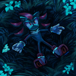Size: 2000x2000 | Tagged: safe, artist:draivysand, shadow the hedgehog, sonic x shadow generations, abstract background, flower, frown, grass, holding something, lineless, looking up, lying down, nighttime, outdoors, signature, solo