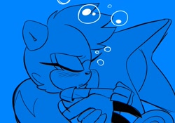 Size: 2048x1431 | Tagged: safe, artist:fernsstories, espio the chameleon, tangle the lemur, espio x tangle