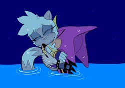 Size: 2048x1431 | Tagged: safe, artist:fernsstories, espio the chameleon, tangle the lemur, espio x tangle