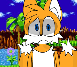 Size: 809x707 | Tagged: safe, artist:supernovae2468, miles "tails" prower, green hill zone, 2024, flat colors, frown, looking at viewer, reaction image, screenshot background, solo
