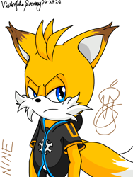 Size: 768x1024 | Tagged: safe, artist:vsj94, miles "tails" prower, nine, sonic prime, 2024, character name, frown, lidded eyes, looking at viewer, signature, simple background, solo, white background