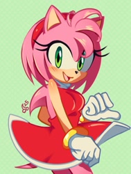 Size: 1283x1699 | Tagged: safe, artist:chxrry_bonbon, amy rose