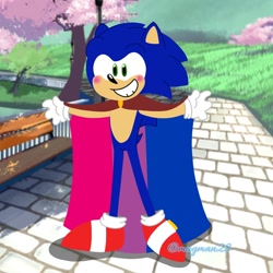 Size: 1280x1280 | Tagged: safe, artist:leomugman28, sonic the hedgehog, 2025, abstract background, bisexual, bisexual pride, blushing, cape, looking at viewer, smile, solo, standing