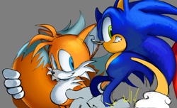 Size: 1066x649 | Tagged: safe, artist:pk_draws_40, miles "tails" prower, sonic the hedgehog, 2025, duo, grey background, holding tail, looking at viewer, simple background, smile