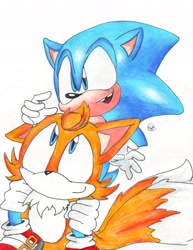 Size: 2340x3025 | Tagged: safe, artist:robot521, manik the hedgehog, skye prower, 2010, duo, missing tooth, mobius: 25 years later, riding on shoulders, signature, smile, traditional media