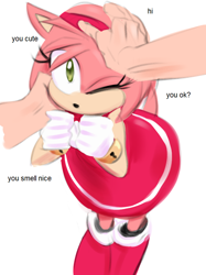 Size: 664x890 | Tagged: artist needed, safe, amy rose, hedgehog, human, amybetes, blushing, cute, female, hand, happy, male, petting