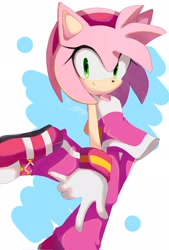 Size: 1382x2048 | Tagged: safe, artist:nuinu_17, amy rose, hedgehog, female, riders outfit, solo