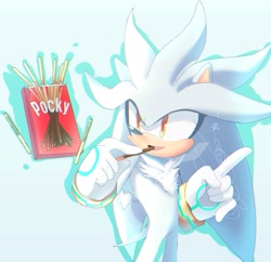 Size: 2031x1965 | Tagged: safe, artist:nuinu_17, pocky, silver the hedgehog, hedgehog, eating, male, solo