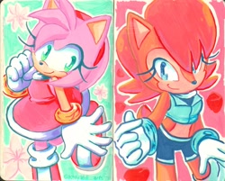 Size: 2048x1644 | Tagged: safe, artist:k3llywolfarts, amy rose, sally acorn, 2025, abstract background, acorn, cute, duo, flower, looking at viewer, outline, smile, standing
