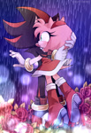 Size: 990x1441 | Tagged: safe, artist:scruffiberri, amy rose, shadow the hedgehog