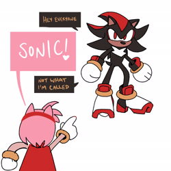 Size: 2048x2048 | Tagged: safe, artist:chimeracryptid, amy rose, shadow the hedgehog, 2025, amy mistaking everyone for sonic, dialogue, duo, english text, flat colors, simple background, speech bubble, white background