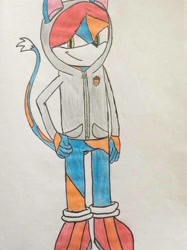 Size: 774x1033 | Tagged: safe, artist:espiofan273, oc, oc:florian the cat, cat, blue fur, green eyes, hoodie, male, orange fur, shoes, socks