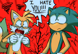 Size: 1297x900 | Tagged: safe, artist:bunny0rgans, miles "tails" prower, sonic the hedgehog, 2022, abstract background, chest fluff, clenched fists, crying, dialogue, duo, ear fluff, english text, eyestrain, fangs, frown, looking at each other, mouth open, redraw, shouting, sonic vs tails! friends no more, standing, tears, tears of anger