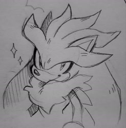 Size: 2048x2085 | Tagged: safe, artist:spoiledskullz, silver the hedgehog, 2025, line art, looking at viewer, monochrome, neck fluff, pencilwork, smile, solo, sparkles, traditional media