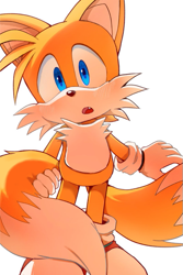 Size: 401x600 | Tagged: dnp, safe, artist:aogirinaru, miles "tails" prower, fox, cute, simple background
