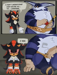 Size: 1556x2048 | Tagged: safe, artist:newtmoss, big the cat, shadow the hedgehog, weed