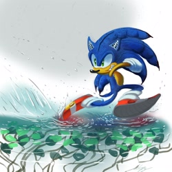 Size: 2500x2500 | Tagged: safe, artist:lemonade-pop, sonic the hedgehog, hedgehog, decaisnea, fruit, fusion, grin, grinning, male, plant, running on water, solo, water