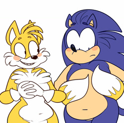 Size: 1024x1020 | Tagged: safe, artist:beastofeuthanasia, miles "tails" prower, sonic the hedgehog, 2018, belly button, blushing, duo, flat colors, floating eyebrows, frown, gay, hands together, looking at them, looking down, shipping, simple background, smile, sonic x tails, standing, white background, wrapped in tails