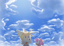 Size: 2048x1502 | Tagged: safe, artist:pokersmtng, amy rose, miles "tails" prower, fox, hedgehog, 2025, clouds, daytime, duo, female, looking up, male, open mouth, scenery