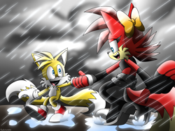 Size: 4000x3000 | Tagged: safe, artist:fartist2020, fiona fox, miles "tails" prower