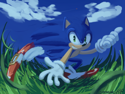 Size: 4500x3388 | Tagged: safe, artist:lemonade-pop, sonic the hedgehog, hedgehog, 2024, biplane, clouds, contrail, daytime, grass, grin, looking at viewer, male, plane, pointing, running, solo, thumbs up, tornado i