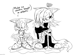 Size: 4000x3000 | Tagged: safe, artist:fartist2020, fiona fox, miles "tails" prower, wet