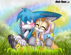 Size: 1383x1069 | Tagged: safe, artist:nonicpower, cheese (chao), cream the rabbit, kit the fennec, abstract background, blushing, dandelion, daytime, duo, flower, grass, outdoors, rain, rainbow, sitting, sun
