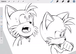 Size: 2048x1452 | Tagged: safe, artist:thatbirdguy_, miles "tails" prower