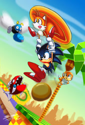 Size: 800x1170 | Tagged: safe, artist:sketchiegambit, buzz bomber, coconuts, green hill zone, 2011, abstract background, badnik, bridge, chopper, classic sonic, classic tails, clouds, coconut, daytime, duo focus, flying, food, grass, group, holding hands, holding them, loop, outdoors, palm tree, robot, signature, smile, spinning tails, tree, water