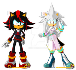 Size: 934x855 | Tagged: safe, artist:kabuto-gouki, shadow the hedgehog, silver the hedgehog, deviantart watermark, duo, gender swap, simple background, watermark, white background