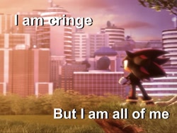 Size: 1200x900 | Tagged: safe, editor:pja-party, shadow the hedgehog, 2025, 3d, arms folded, caption, edit, edited screencap, english text, grass, i am all of me, i am cringe (meme), looking offscreen, meme, shadow the hedgehog (video game), solo, standing, text, tree, westopolis