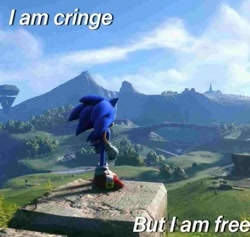 Size: 569x539 | Tagged: safe, editor:pja-party, sonic the hedgehog, sonic frontiers, 2025, 3d, caption, clouds, edit, edited screencap, english text, grass, i am cringe (meme), looking offscreen, meme, solo, standing, text, tree