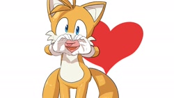 Size: 2048x1152 | Tagged: safe, artist:seen023hey, miles "tails" prower, 2025, heart, heart hands, looking at viewer, simple background, smile, smiling at viewer, solo, standing, tongue out, white background