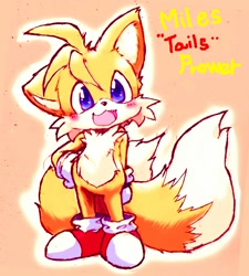 Size: 1200x1332 | Tagged: safe, artist:phantmail8, miles "tails" prower
