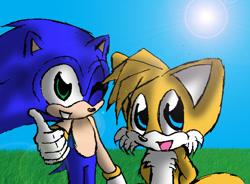 Size: 664x488 | Tagged: safe, artist:arcticcryptid, miles "tails" prower, sonic the hedgehog, 2009, abstract background, cute, daytime, duo, grass, mouth open, open smile, outdoors, smile, sonabetes, standing, sun, tailabetes, thumbs up, wink